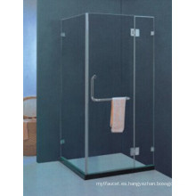 Diseño popular de vidrio templado recinto de ducha simple (H010)